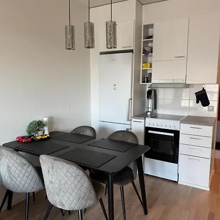 Snow King With Private Sauna * Rovaniemi